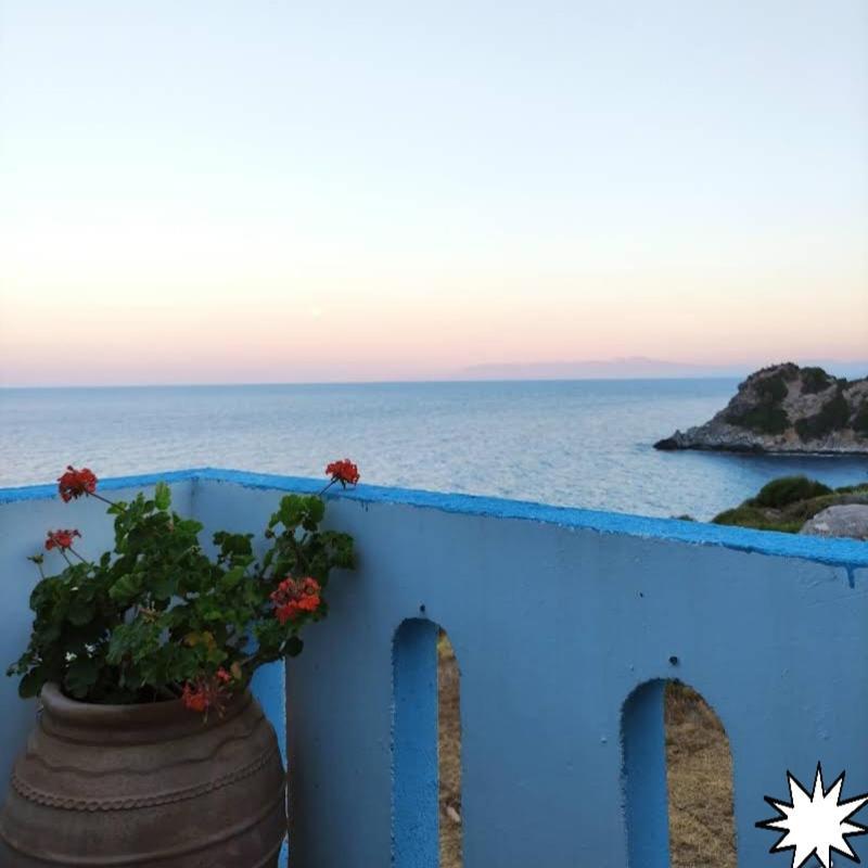 Delfini Aparthotel Αχλαδερή Εξωτερικό φωτογραφία